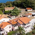Alenka By The Sea