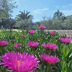 דירה Alenka By The Sea לאבין