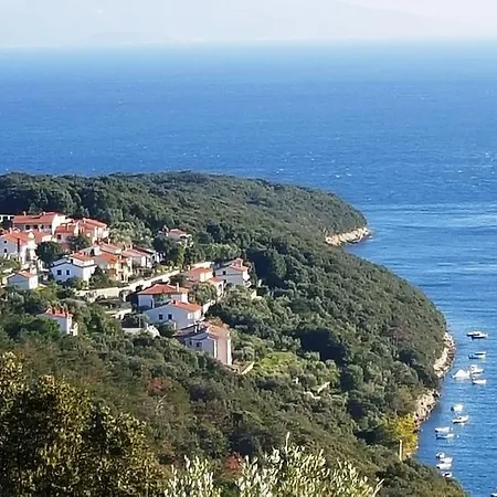 Alenka Apartment Labin (Istria)