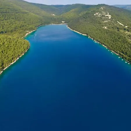Alenka By The Sea